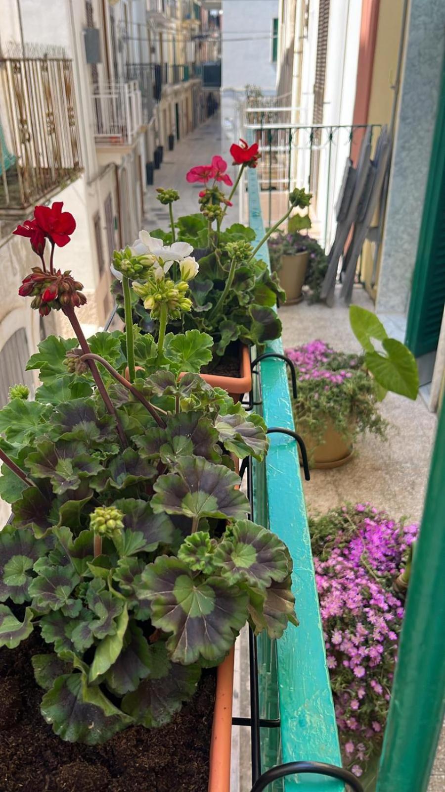 La Casa Di Nonna Sisina Βίλα Mola di Bari Εξωτερικό φωτογραφία