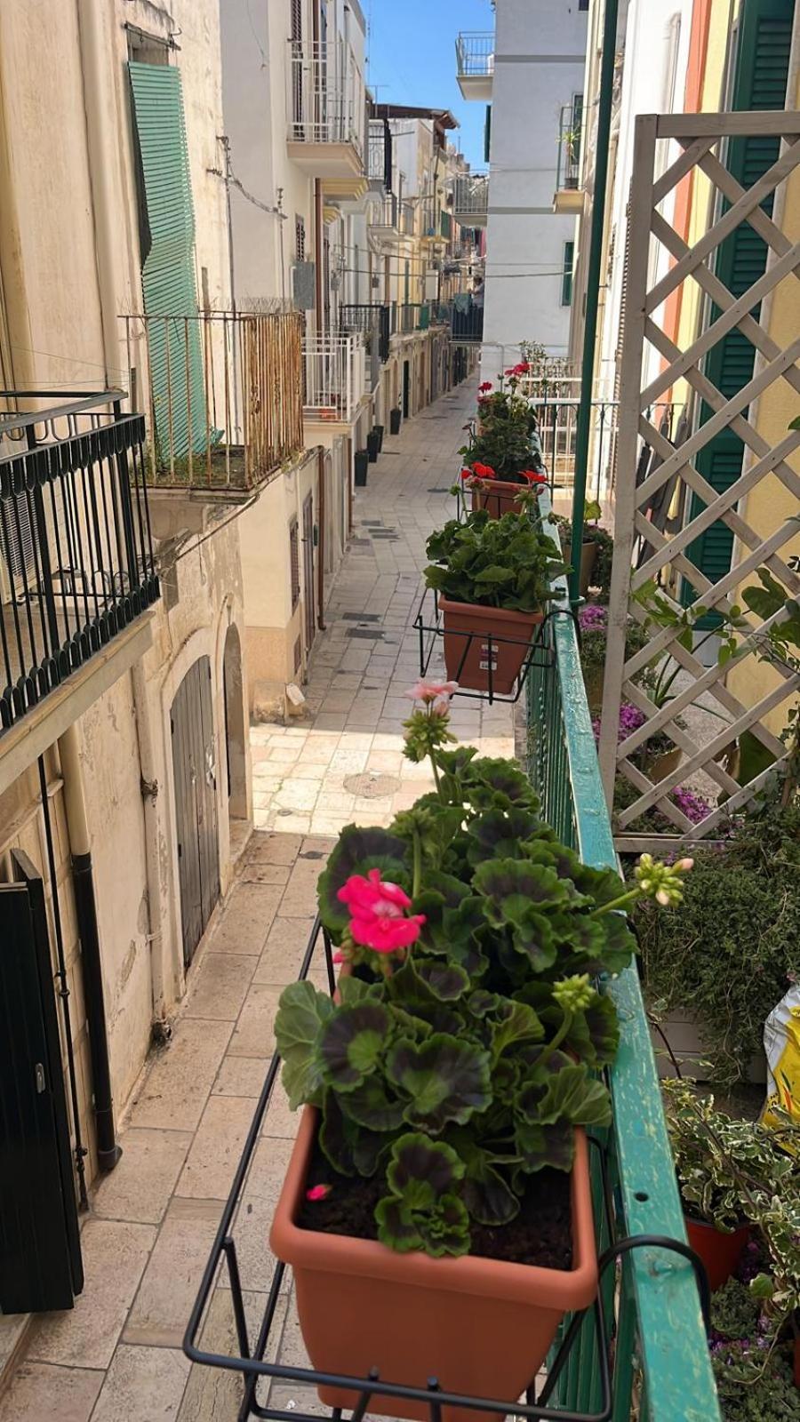 La Casa Di Nonna Sisina Βίλα Mola di Bari Εξωτερικό φωτογραφία